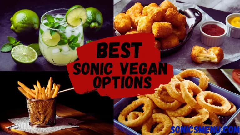 A complete Guide On Best Sonic Vegan Options 2024