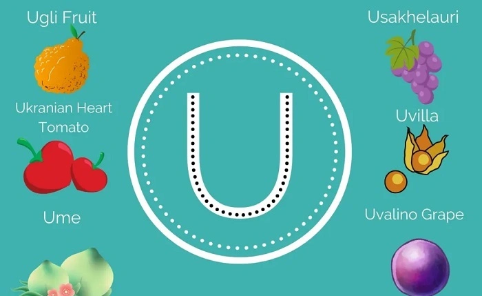 Fruits and Veggies That Start With U 1