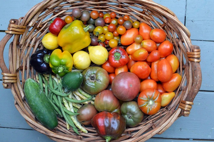 Lettuce and Tomato Supply Behind the Scenes 1